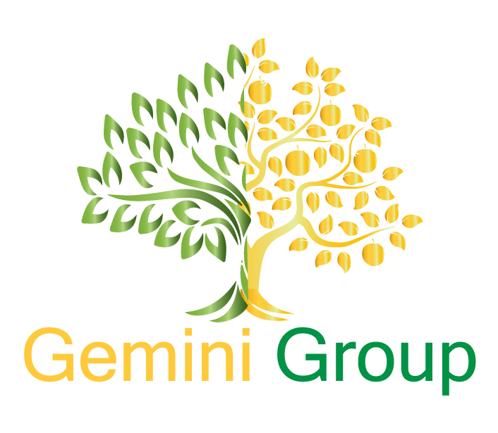 Gemini Group